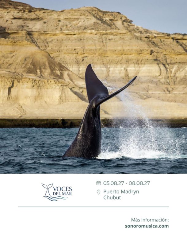Sonoro-Puerto Madryn 2027